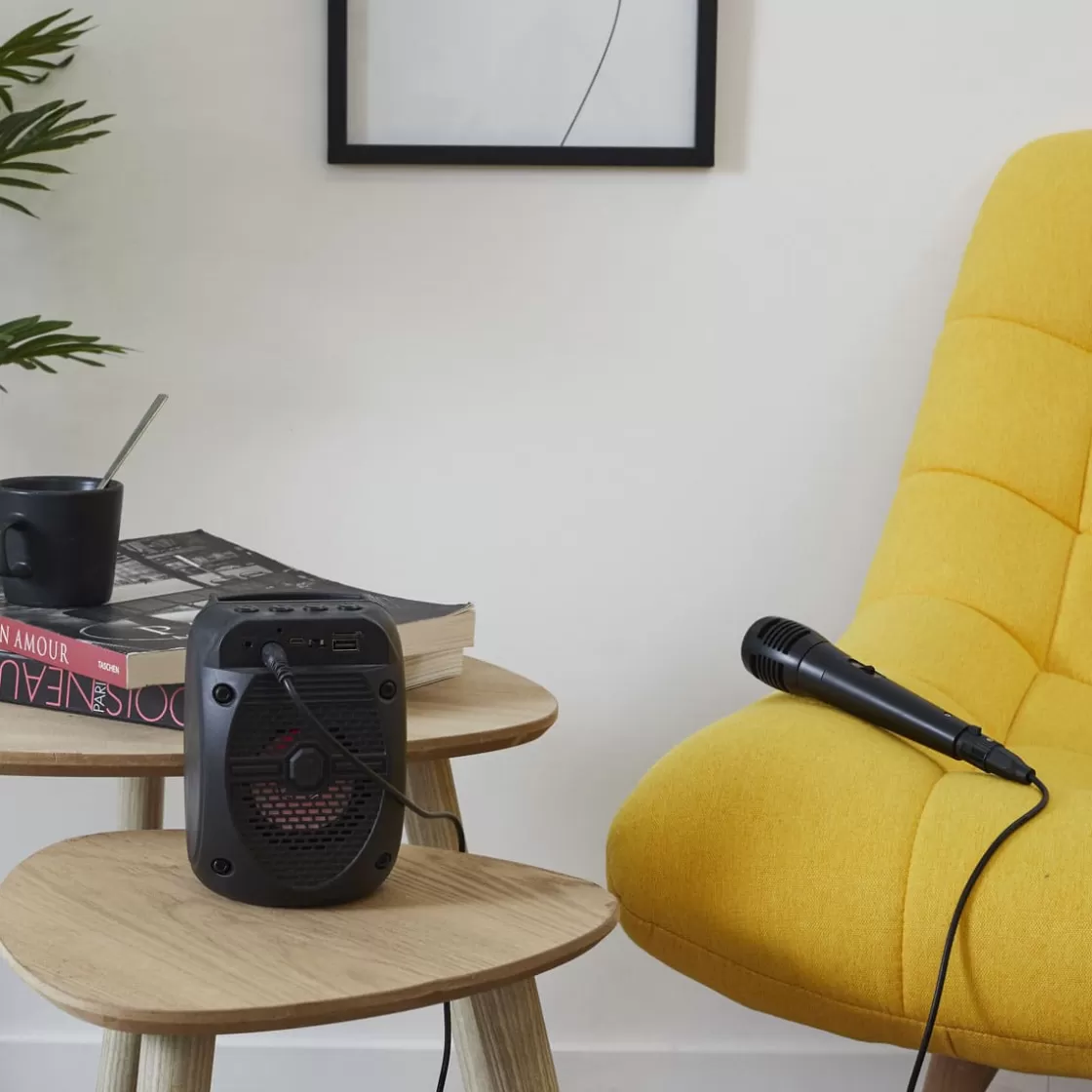 La Chaise Longue Son & Musique | Son & Musique-ENCEINTE BT MICRO KARAOKE