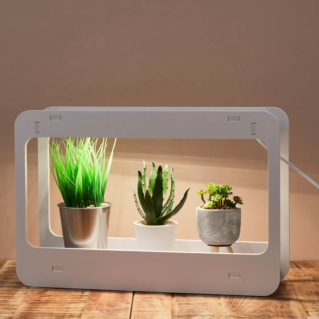 La Chaise Longue Luminaire-LAMPE POTAGER D'INTERIEUR