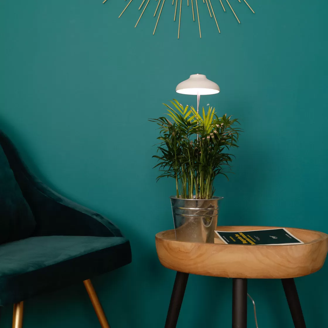 La Chaise Longue Luminaire-LAMPE POUR PLANTE USB