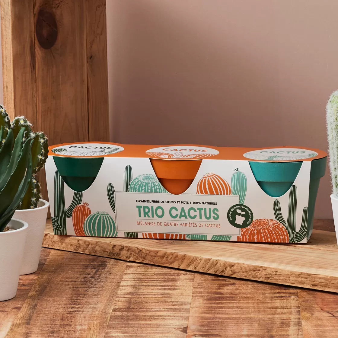 La Chaise Longue Jardin-TRIO CACTUS