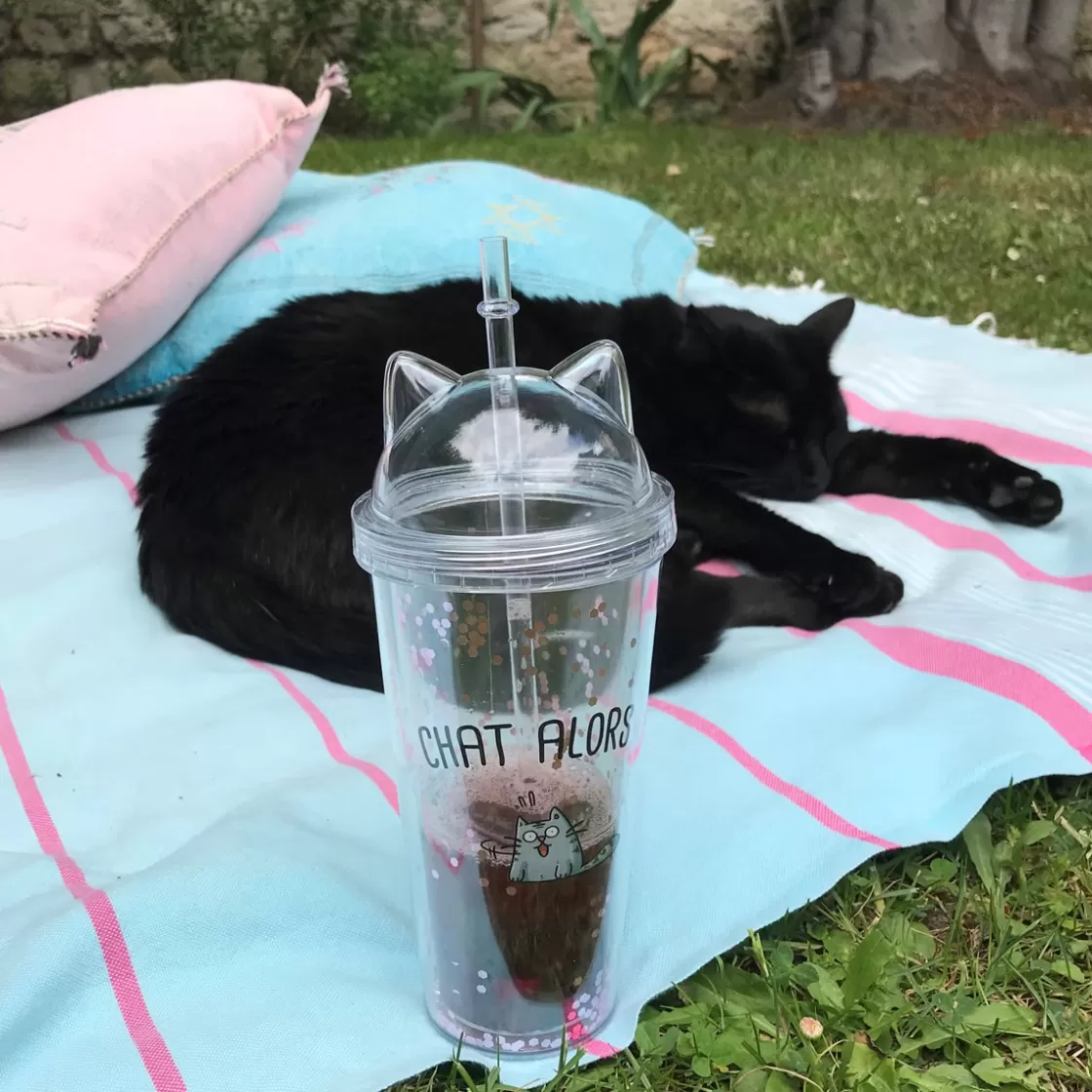 La Chaise Longue Boissons & Cocktails-VERRE PAILLE CHAT ALORS